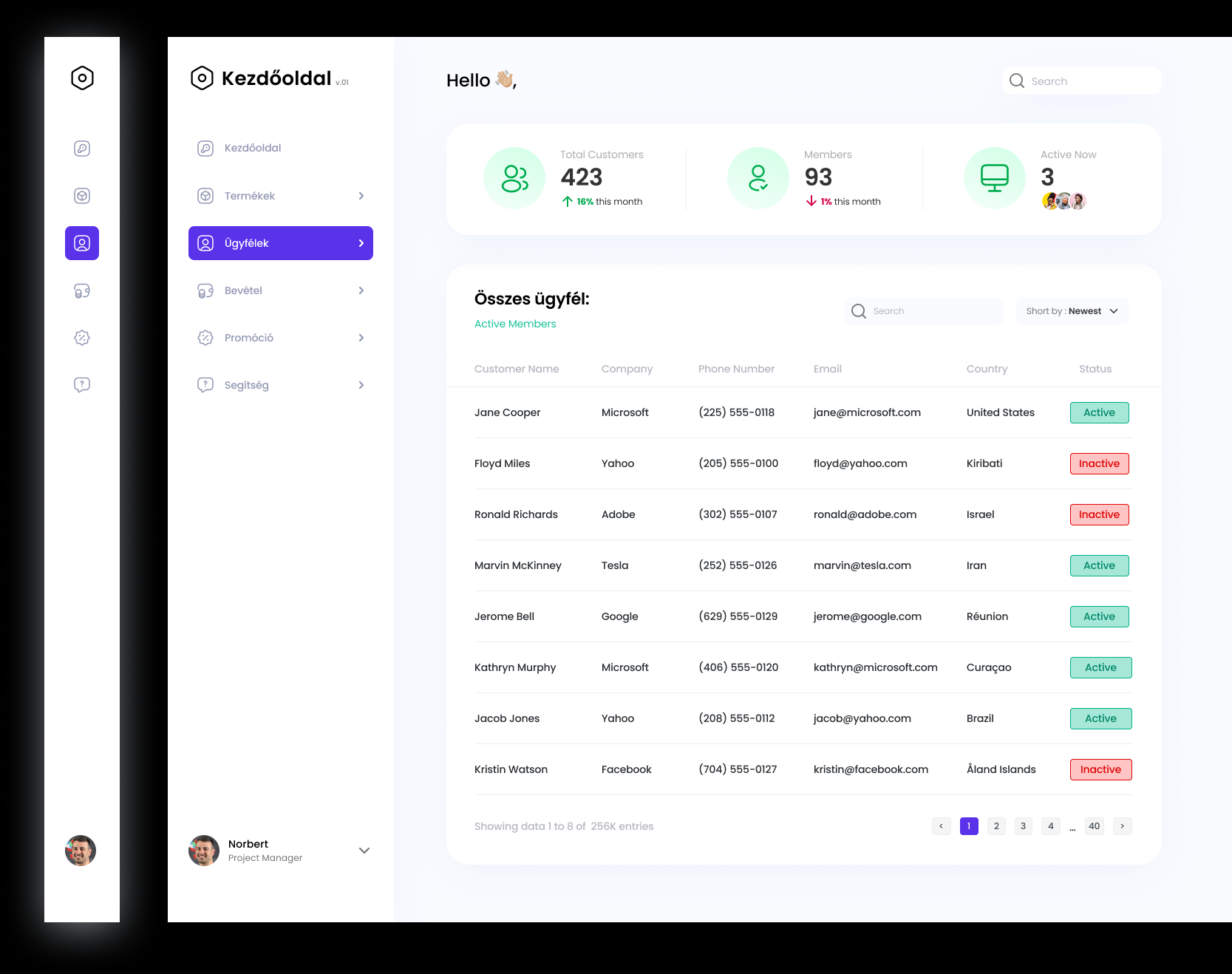 Projekt 3 előnézet